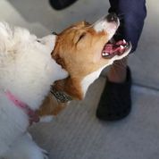 photograph by PeterW